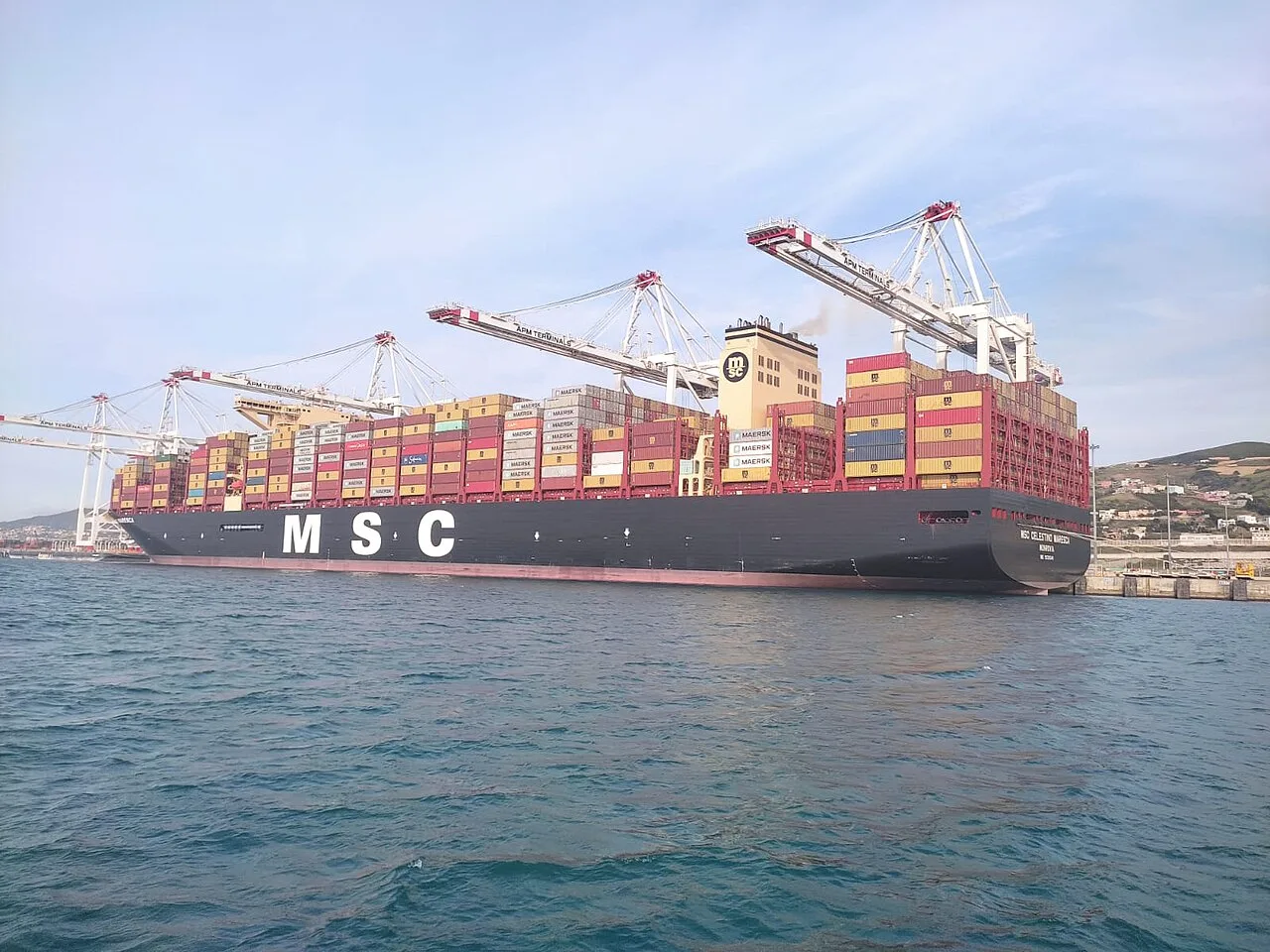 MSC Celestino Maresca