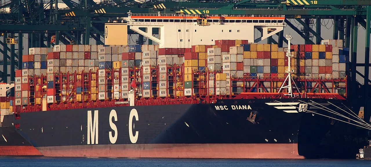 MSC Diana at Antwerp. Cropped view from the source photograph.