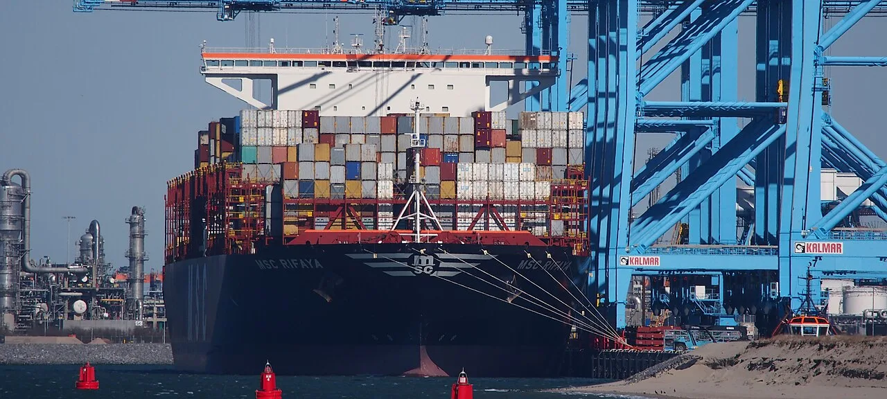 MSC Rifaya at Rotterdam. Cropped view from the source photograph.